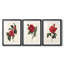 Red Botanical I - reproduction encadrée sur mesure de qualité supérieure mate - 3 pièces-345066760