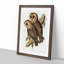Masked Barn Owls by Elizabeth Gould - Framed Print-55575605-55575609