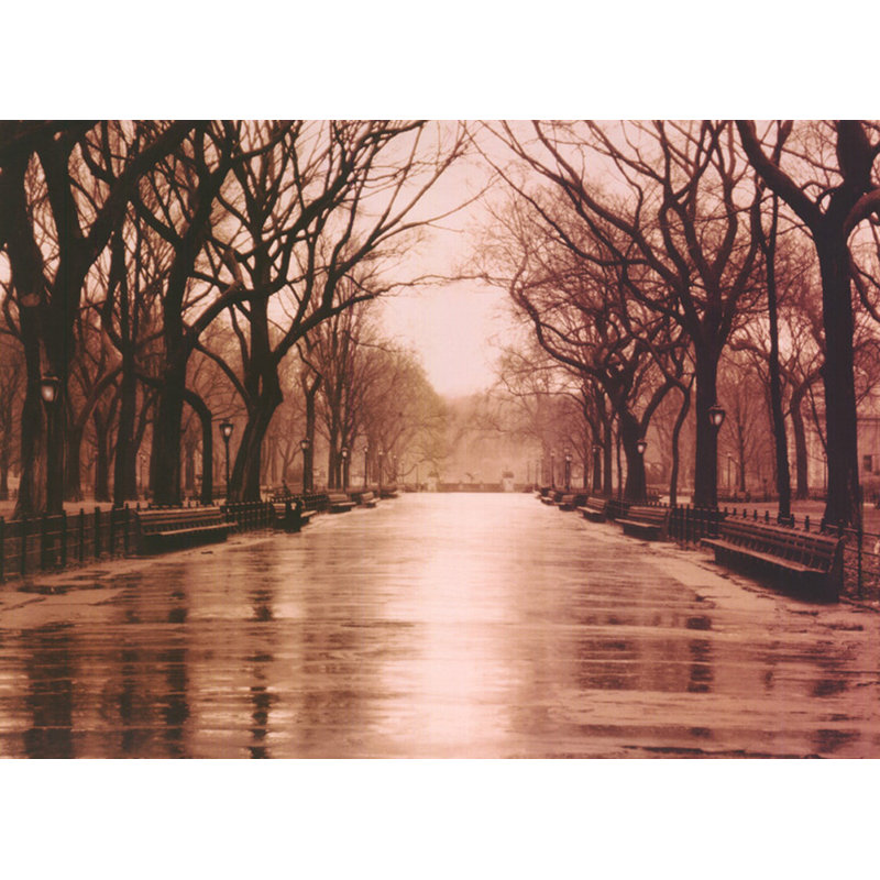 Jour de pluie - Central Park, H 17 po x l 24 po