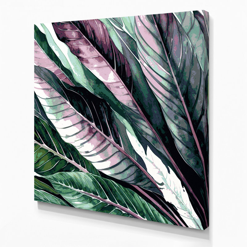 Art mural sur toile Botanical Calathea, H 12 po x l 12 po