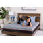 CUIVRE SEULEMENT 10 MOUSSE-20398553