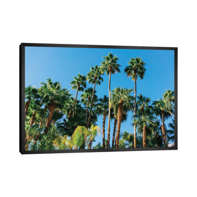 Palm Springs Palms III by Bethany Young - Print on Canvas