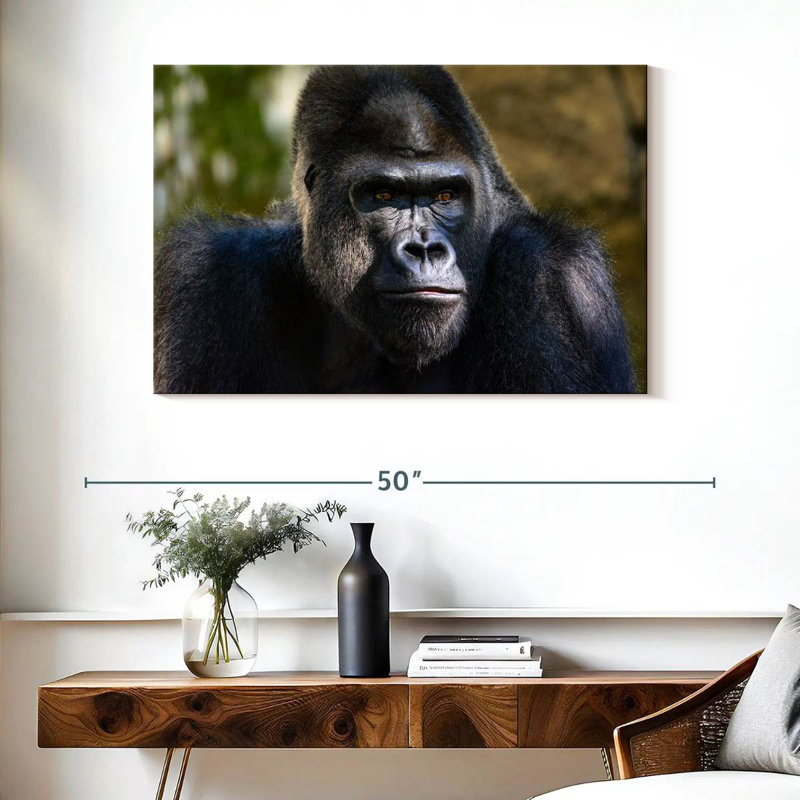 Mountain Gorilla
