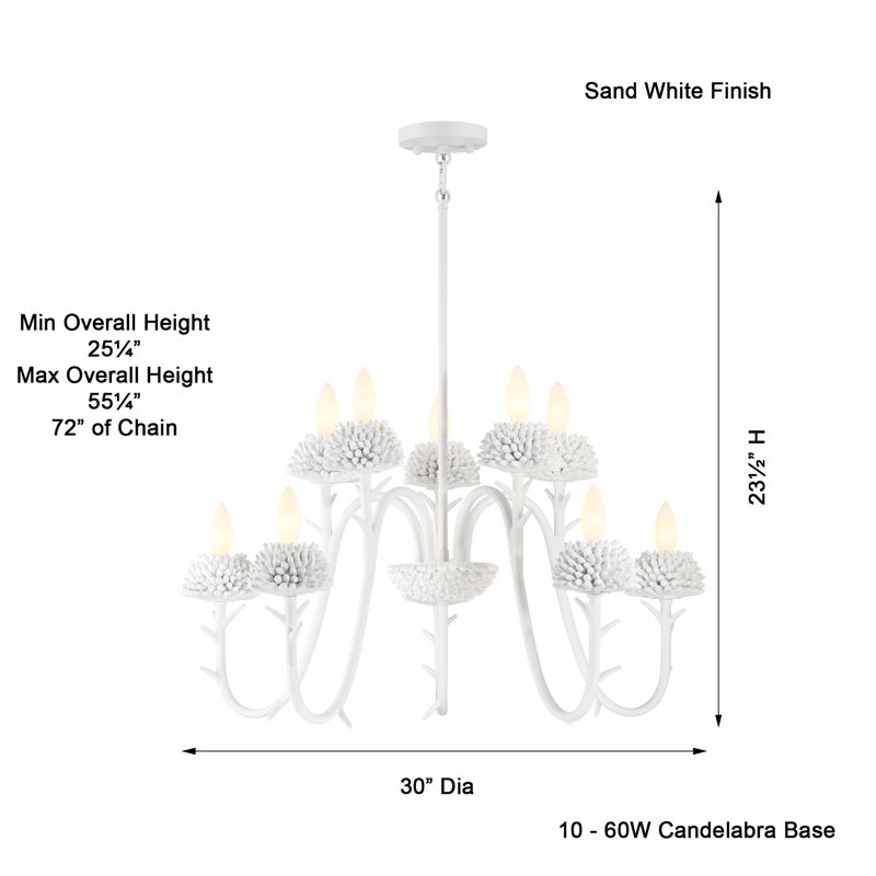 9 - Light Dimmable Classic / Traditional Chandelier