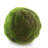  Moss Ball
