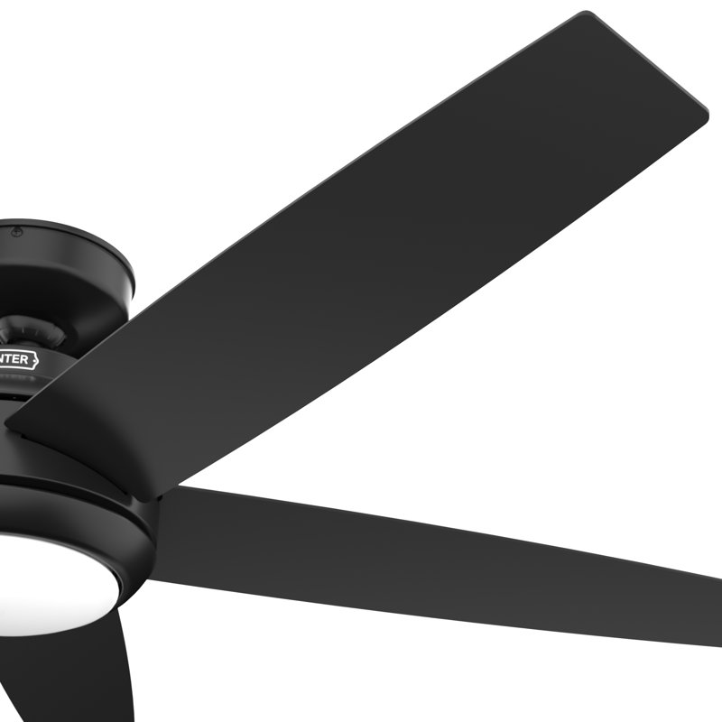 52" Zayden 5 - Blade Ceiling Fan With Lights and Remote, Matte Black