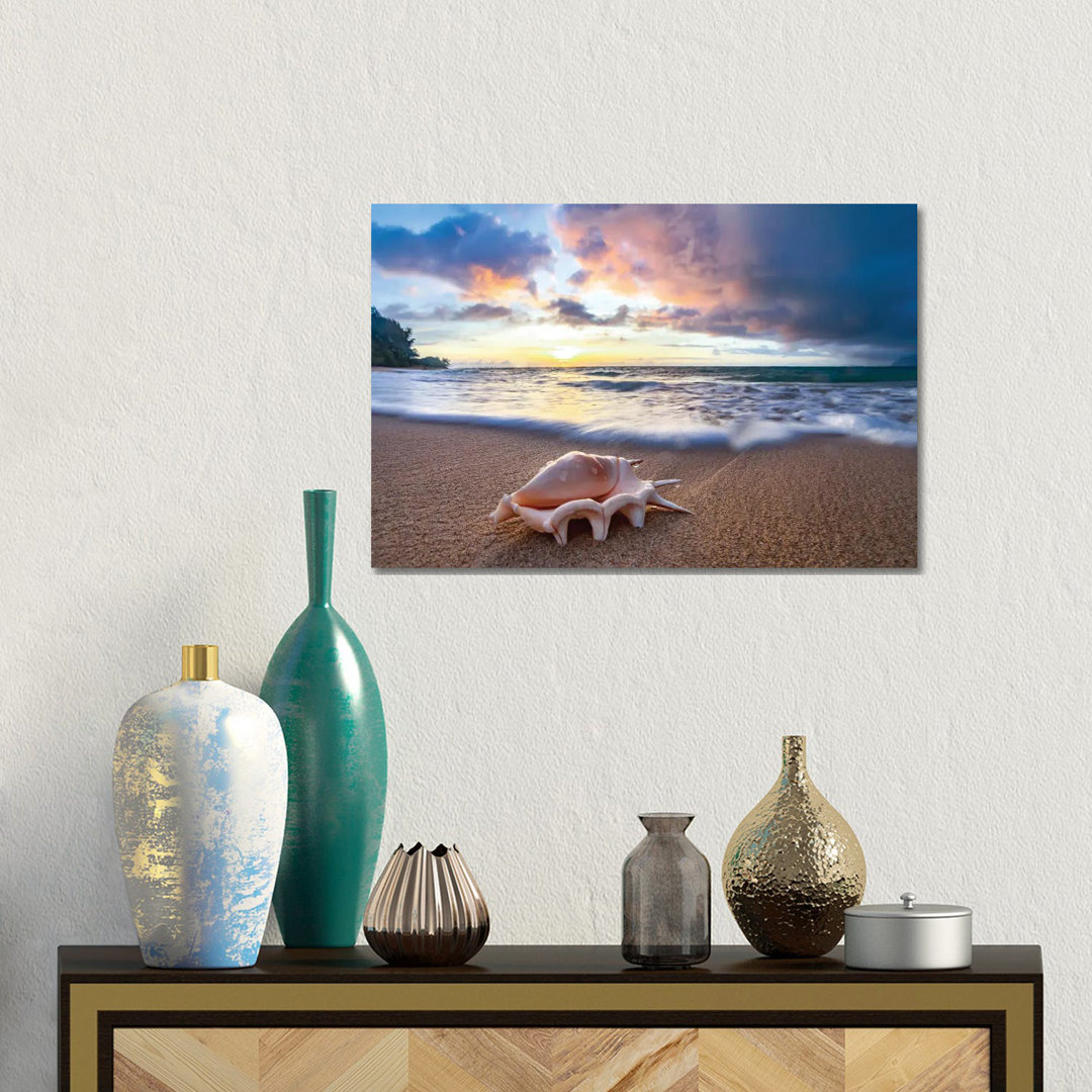 Shell Sea Drops von Sean Davey - No Frame Gallery-Wrapped Canvas Giclée on Canvas