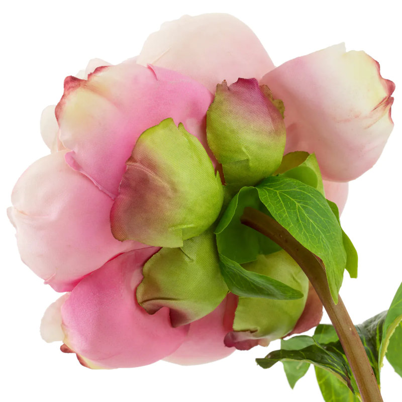 Bouquet Of Peonies Pink Tones Real Touch 48 Pcs/2 Varieties, Pink