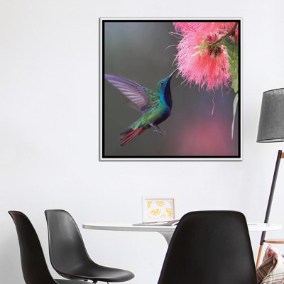 «Green Green Mango» par Tim Fitzharris - reproduction de photo
