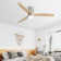 Jovonte 52'' Ceiling Fan with LED Lights