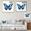 Papillon bleu vibrant I-1126390625-1126390558