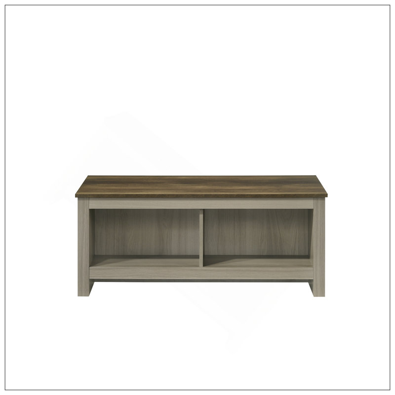 Table basse moderne avec tablettes ouvertes pour un rangement polyvalent et un attrait élégant