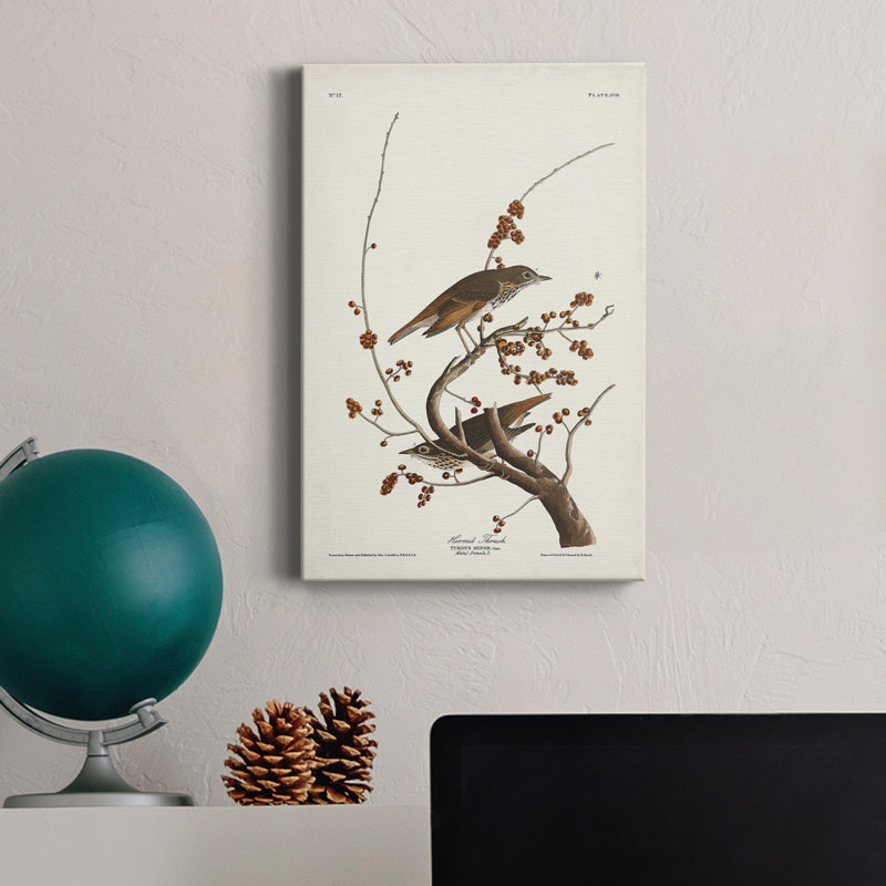 Pl. Toile tendue avec châssis 58 Hermit Thrush Premium Gallery - prête à être accrochée