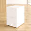 Buariki 46.4cm Wide 2 -Drawer File Cabinet-29709307