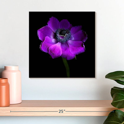 Harnek Purple Anemones Heart