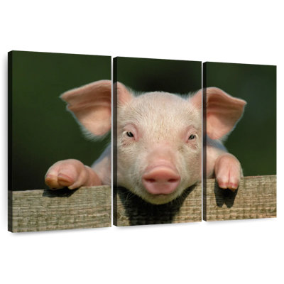 Brampt Piglet On Fence