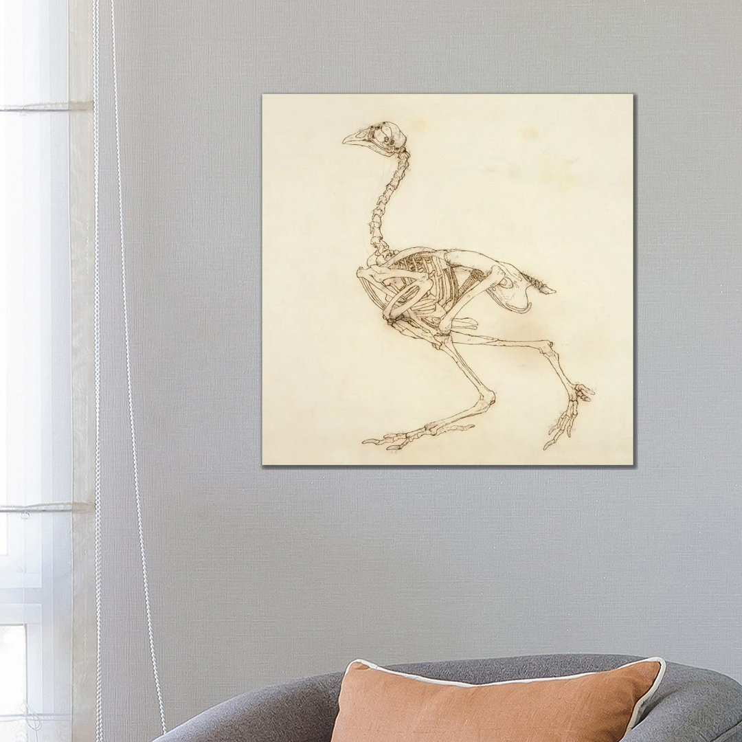 Dorking Hen Skeleton, Lateral View by George Stubbs - Wrapped Canvas Print