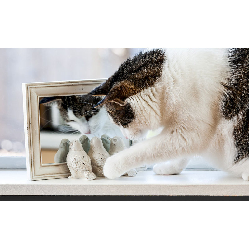 Miroir d'appoint Moretz