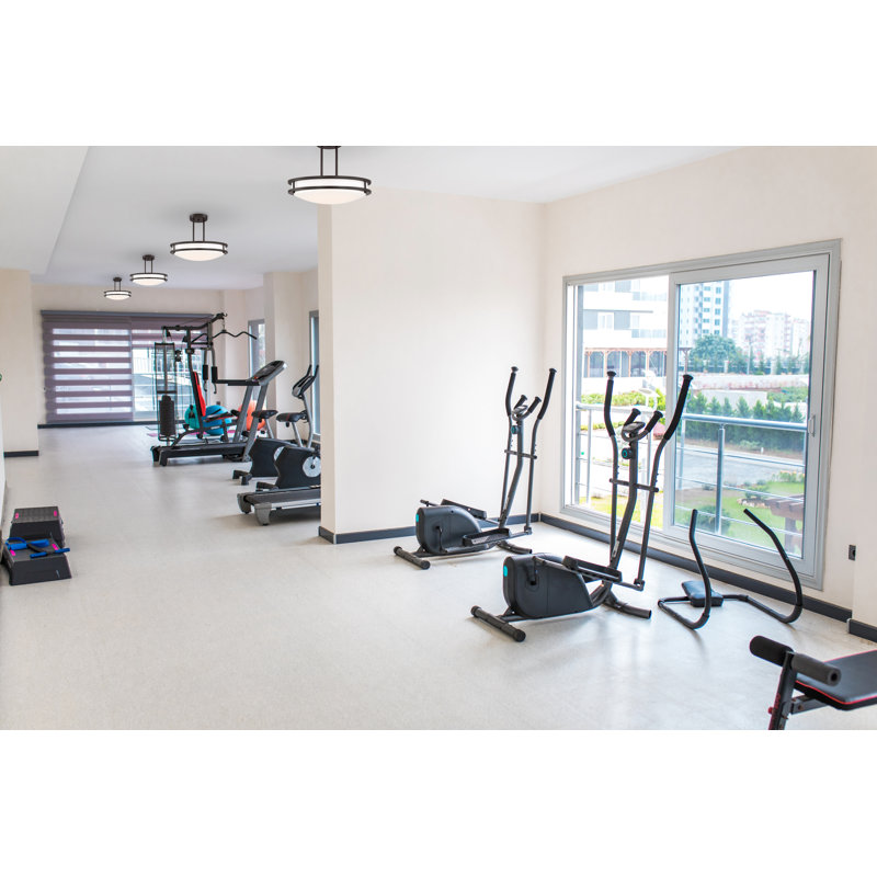 Capra 1 - Light LED Single Pendant, Brushed Steel