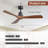 Nicola 52" 3 - Blade Standard Ceiling Fan with Remote Control-42910913