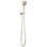 Invari® H2OKinetic® Multi-Function Wall Mount Handshower
