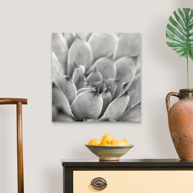 «Garden Succulent I», art mural sur toile, Toile tendue, H 20 po x l 20 po x P 1,25 po