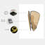 Alisiah LED Wallchiere