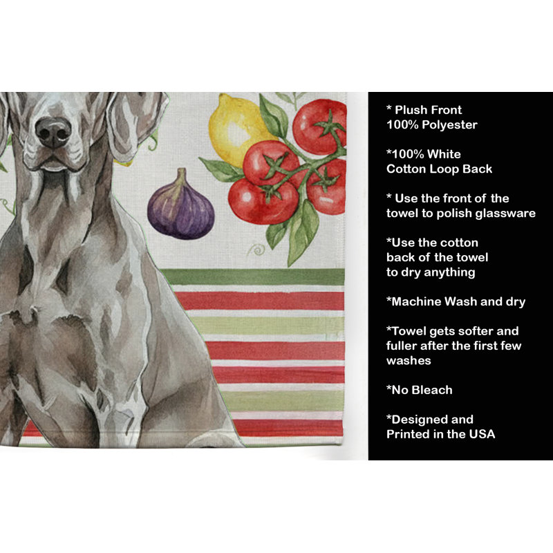 Torchon Weimaraner, Weimaraner