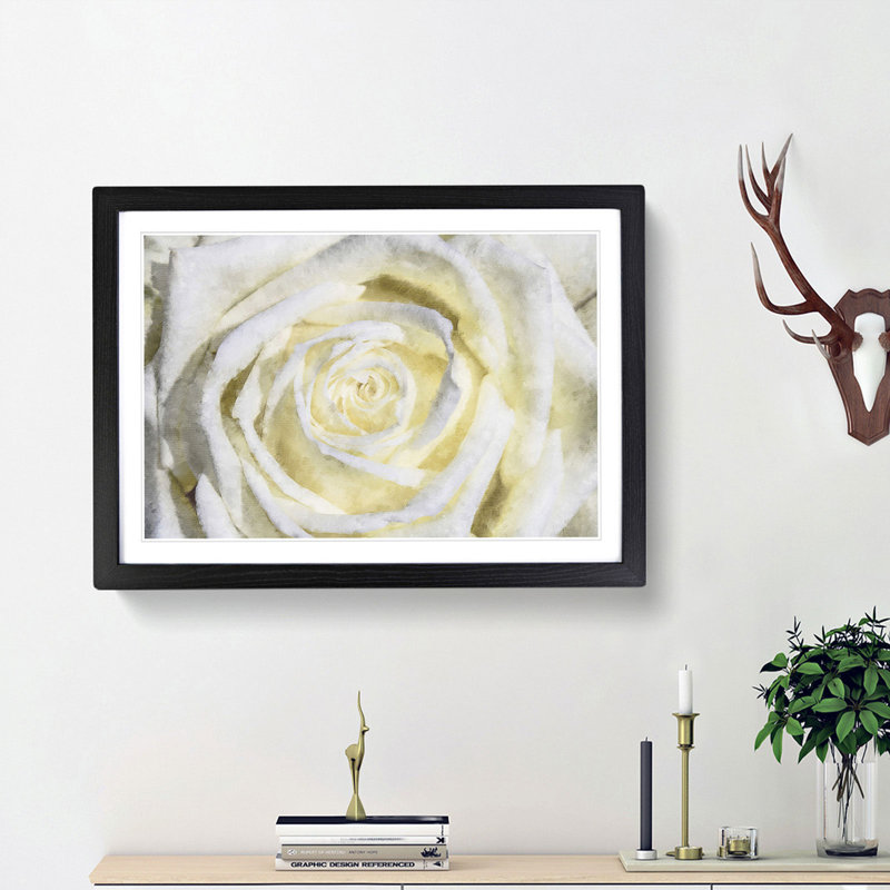 Crisp White Rose - Picture Frame Graphic Art Print, Black Framed, 45cm H x 63cm W x 2cm D