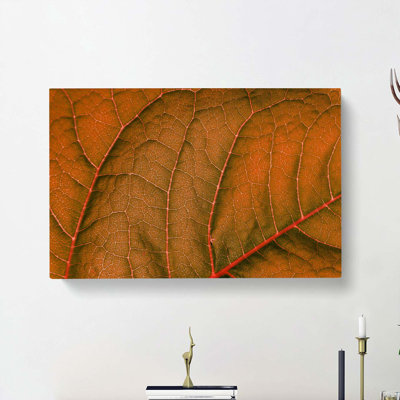 Leaf Veins - Wrapped Canvas