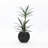 Anjonette 14.5'' D Round Bowl Black Planter, Mediterranean Style Plastic Plant Pot-2146260925