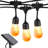 12-Light 27 ft. Outdoor Solar Hanging LED 1-Watt S14 2700K Warm White Bulb String Lights