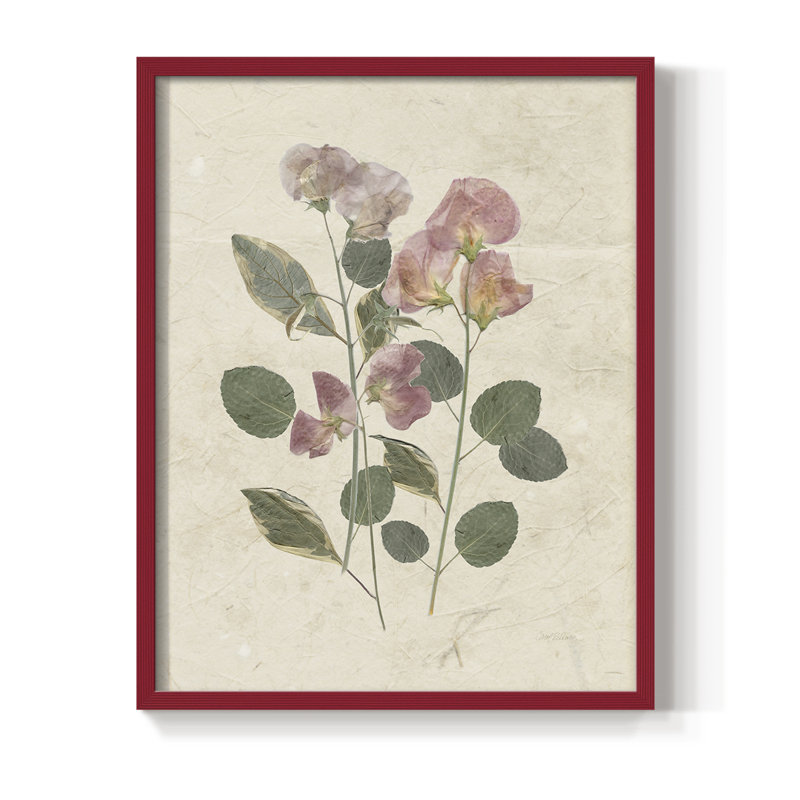Pressed Arrangement II, reproduction encadrée - bois massif, H 30 po x l 24 po, Rouge
