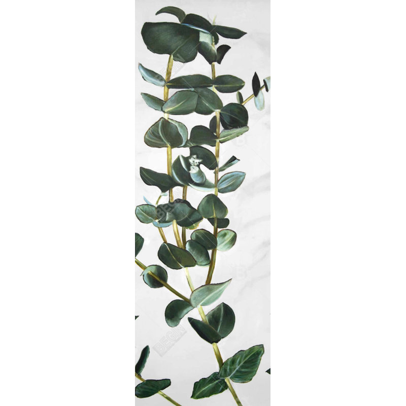" Eucalyptus Stems "