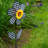16-Inch Gingham Sunflower Spinner