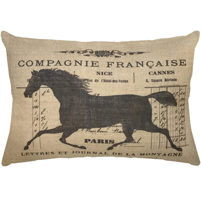 Wrenn Jute / Sisal Reversible Throw Pillow