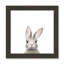 Art encadré en lapins forestières-48163434-48169567