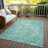 Radric Washable Indoor / Outdoor Rug-191244011