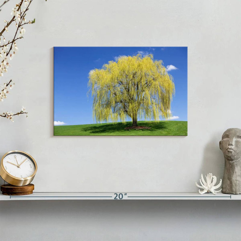Harnek Spring Weeping Willow, 8" H x 12" W