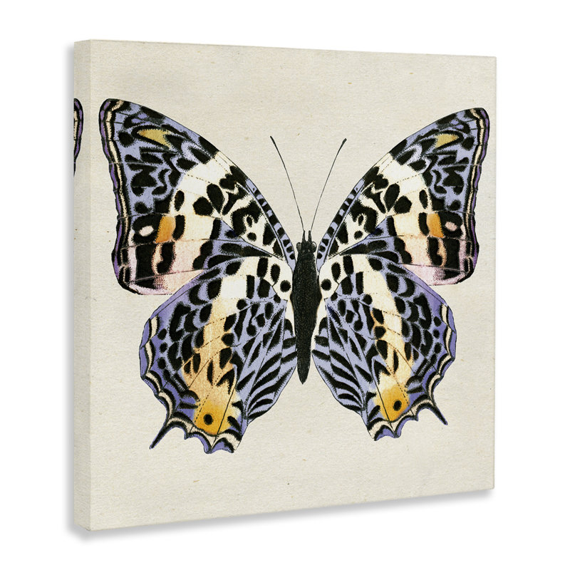 Art mural toile mouchetée, papillon par Susan Arnot bp-697_CN, H 36 po x l 36 po