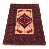 Kalgoorlie One-of-a-Kind 3'1" X 5'11" New Age Wool Area Rug in