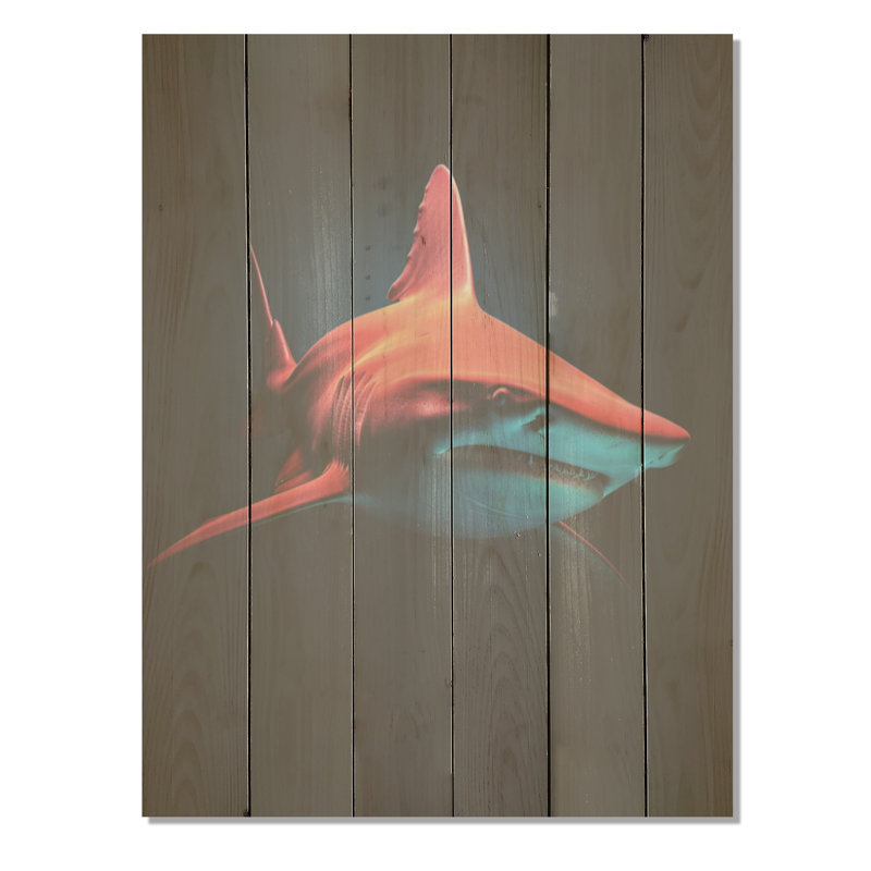 Photo d'un requin rouge, H 40 po x l 30 po
