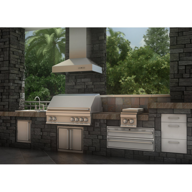 54" Professional 700 CFM Ducted Wall Mount Range Hood in Stainless Steel