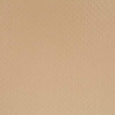 Color Library I 16 MP Fabric