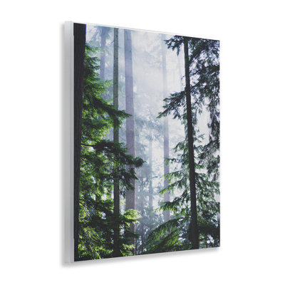 Art mural "Foggy Forest View" par Gail Peck