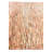 Naber Beige Rug