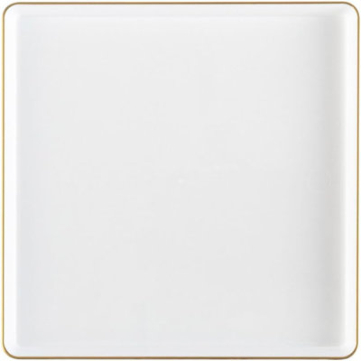 Disposable Dinner Plate