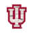 Université Indiana