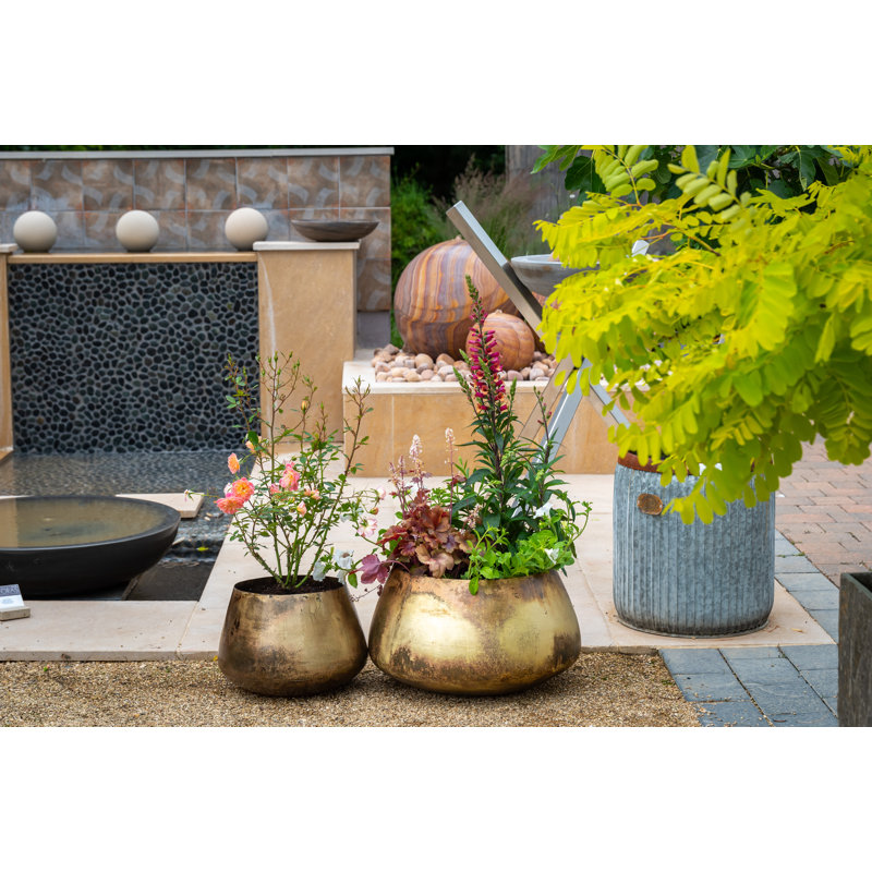 Pelaez Metal Pot Planter, 22cm H x 34cm W x 34cm D