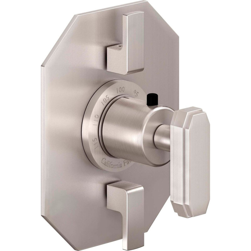 Doheny Styletherm Trim Only With Dual Volume Control, Antique Nickel Flat